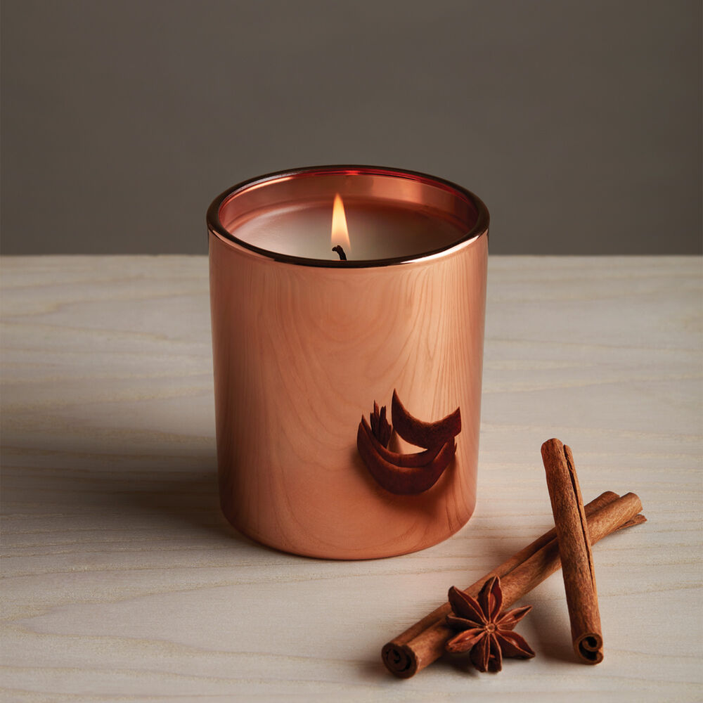 Thymes Simmered Cider Poured Candle with Cinnamon Sticks image number 1